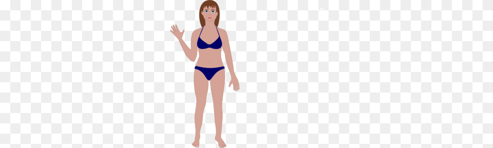 Body Clip Art, Bikini, Clothing, Swimwear, Adult Png