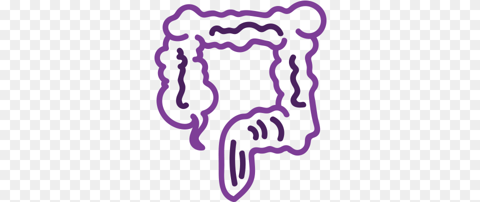 Body Colon Large Intestine, Purple Png Image