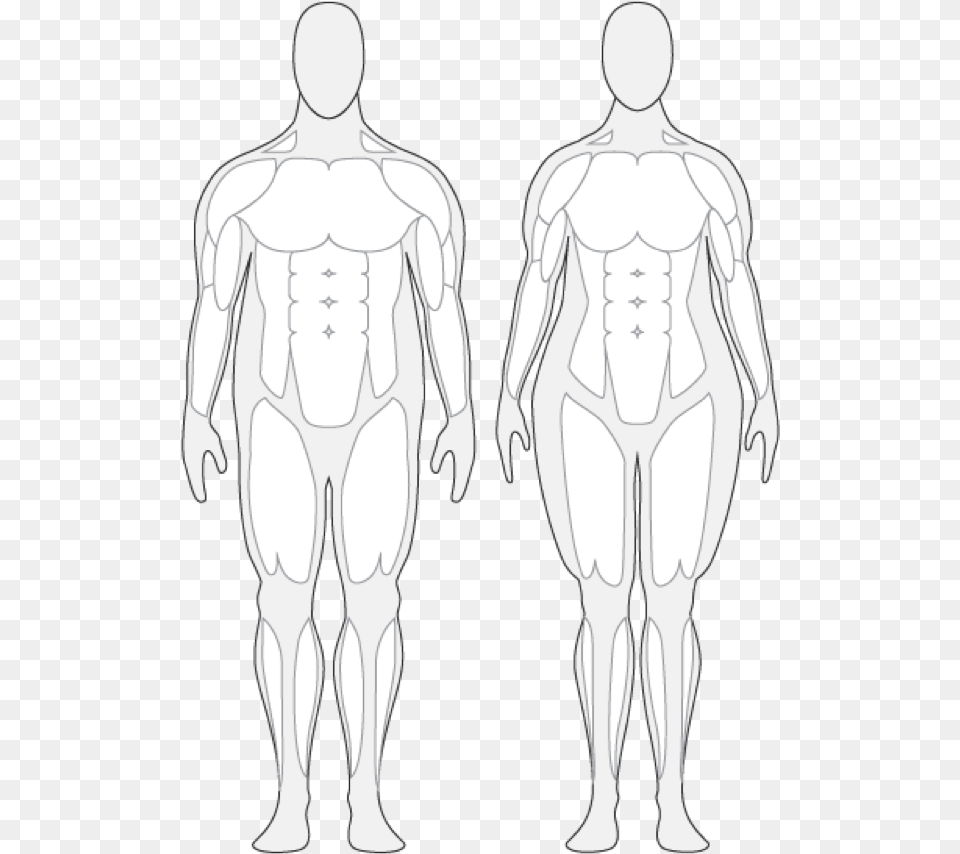 Body Composition Cliparts Over Weight Human Body, Adult, Male, Man, Person Free Png