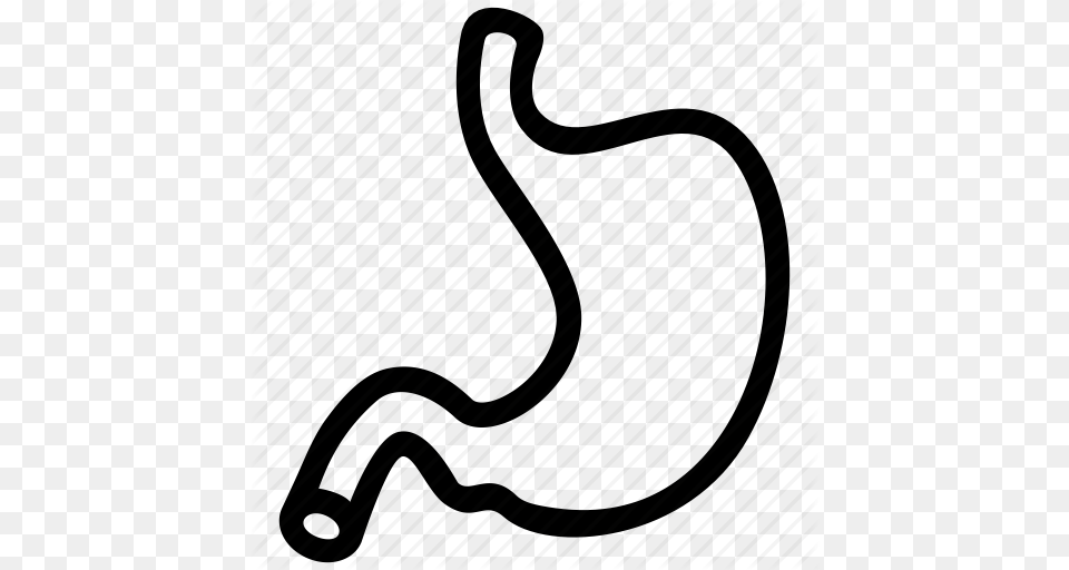 Body Digestive Human Medical Organ Stomach System Icon, Body Part, Animal Free Png