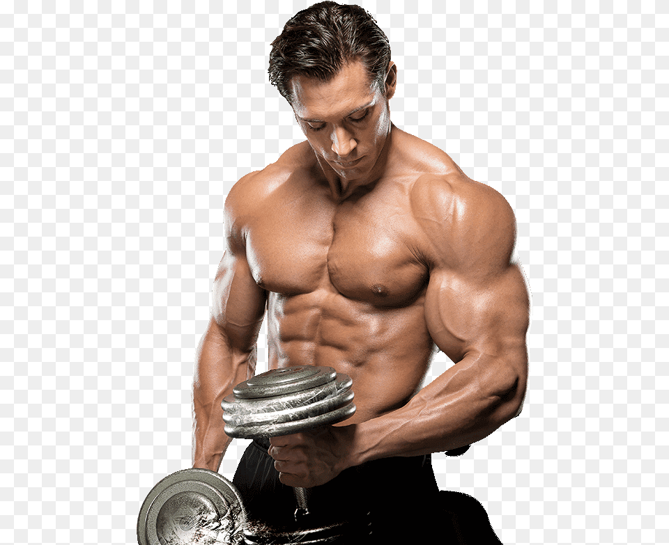 Body Fitness Image Royalty Free Stock Bodybuilding, Adult, Person, Man, Male Png