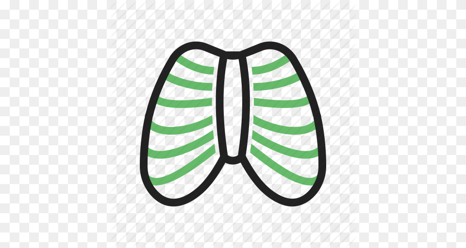 Body Health Human Ribcage Shape System Icon, Clothing, Footwear, Shoe, Sneaker Free Png