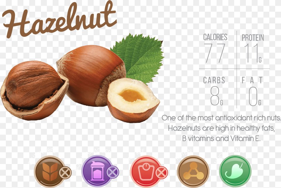 Body Needs And Everything Your Tastebuds Want Hazelnut, Food, Nut, Plant, Produce Png