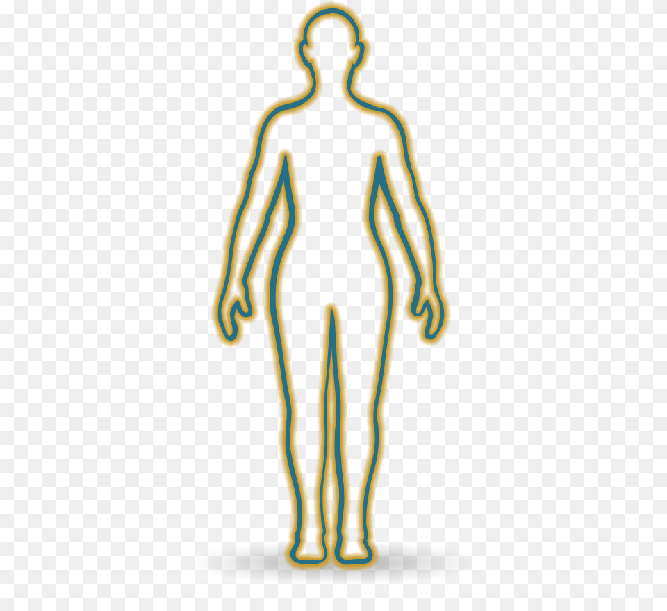Body Outline With Areas Where Trk Fusion Cancer Has Illustration, Adult, Female, Person, Woman Free Transparent Png