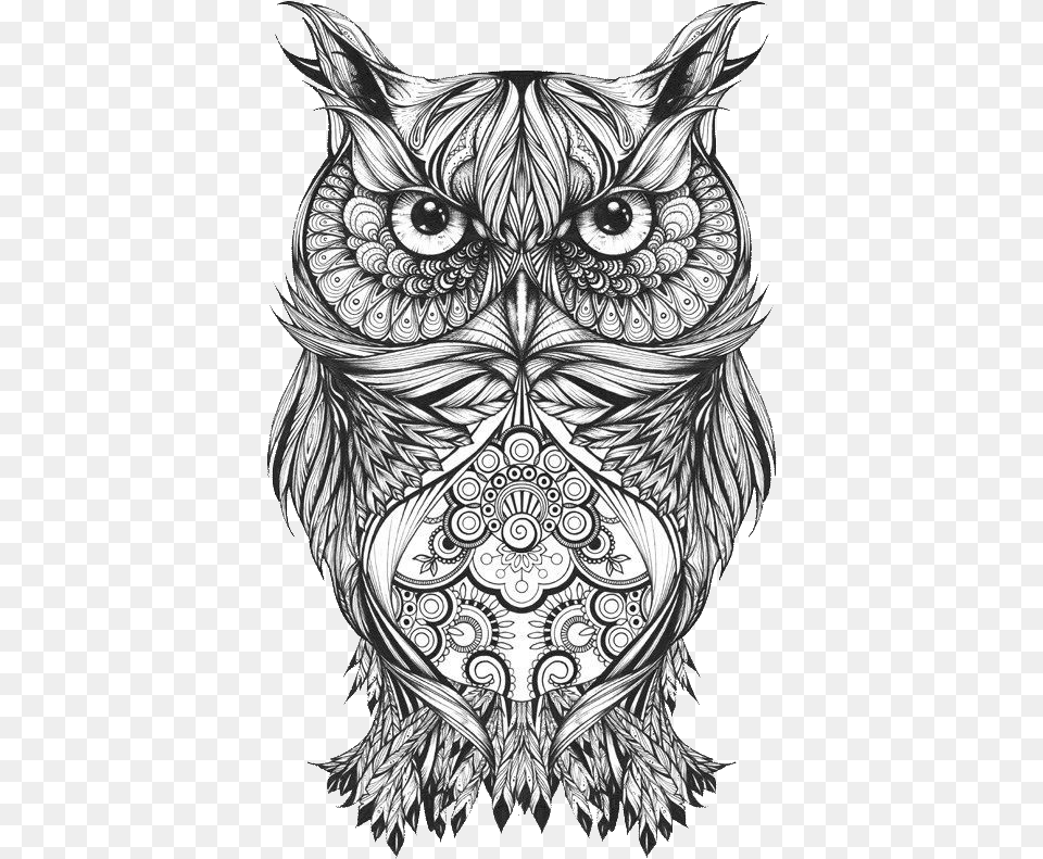 Body Owl Sketch Art Tattoo Drawing Clipart Owl Drawing Tattoo, Doodle, Person, Skin, Book Free Png