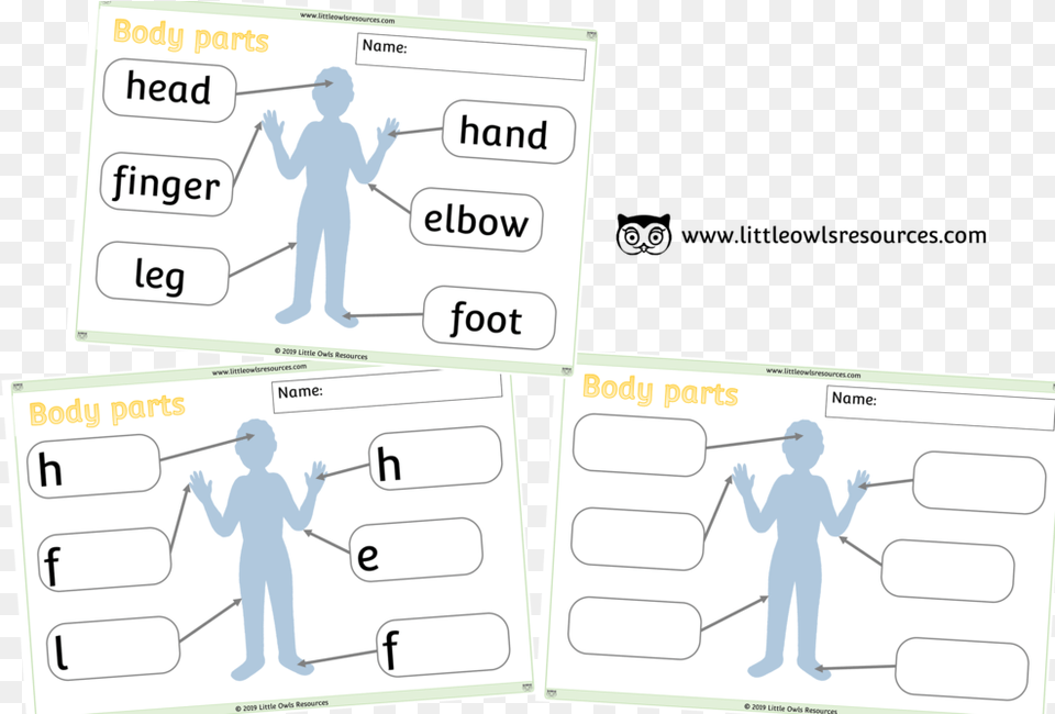 Body Parts Posters Cover Cartoon, Adult, Male, Man, Person Free Png