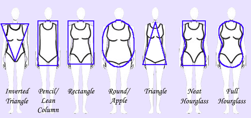 Body Shapes Body Shapes, Chart, Plot, Measurements, Person Free Png Download