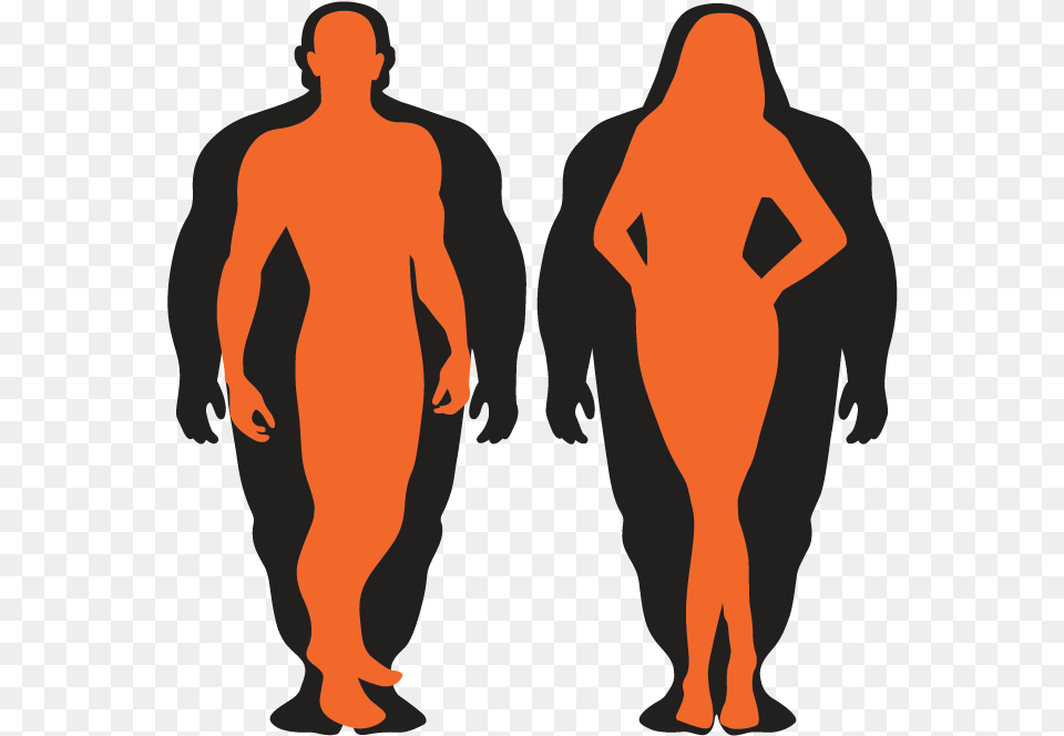 Body Transformation, Adult, Male, Man, Person Png