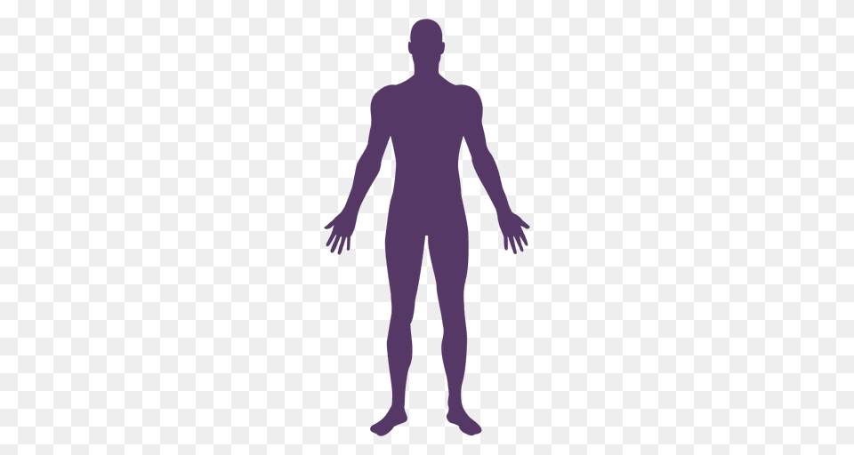 Body Transparent Images, Person, Silhouette Png Image
