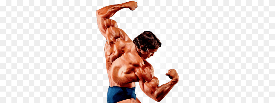Bodybuild, Adult, Male, Man, Person Free Png