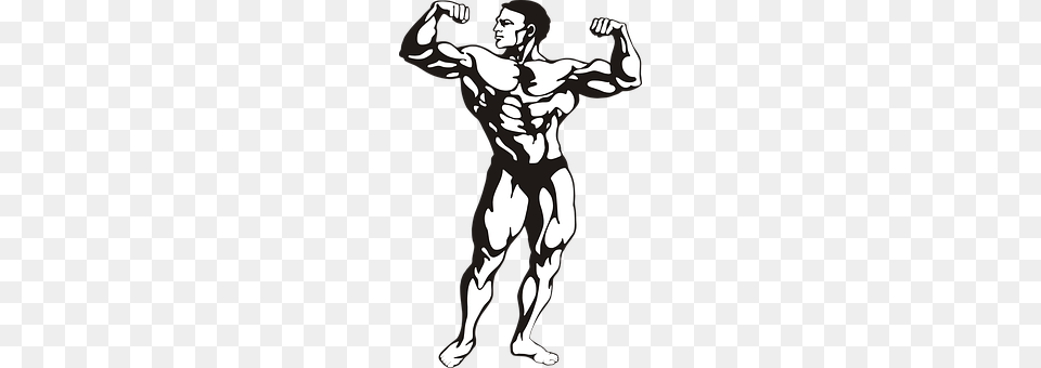 Bodybuilder Stencil, Adult, Male, Man Free Png