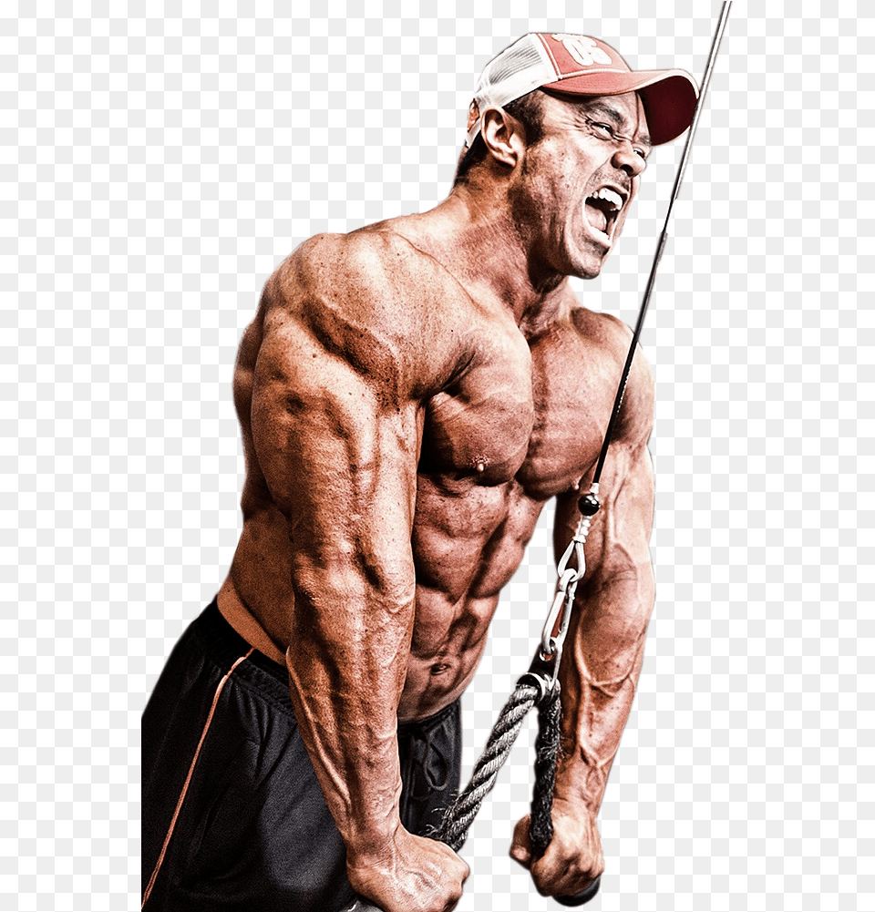 Bodybuilder, Skin, Person, Man, Male Png