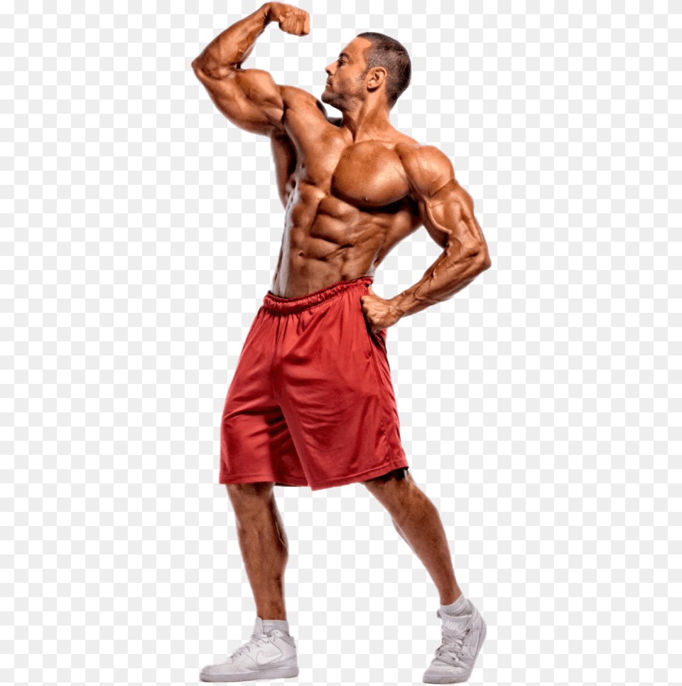 Bodybuilder Full Size, Adult, Male, Man, Person Free Png Download