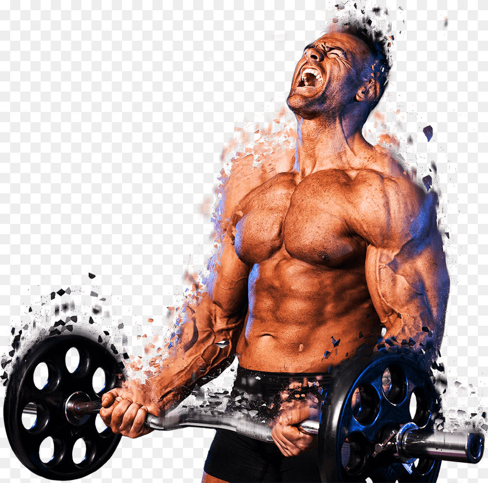 Bodybuilder Images Hd, Back, Body Part, Person, Adult Free Png