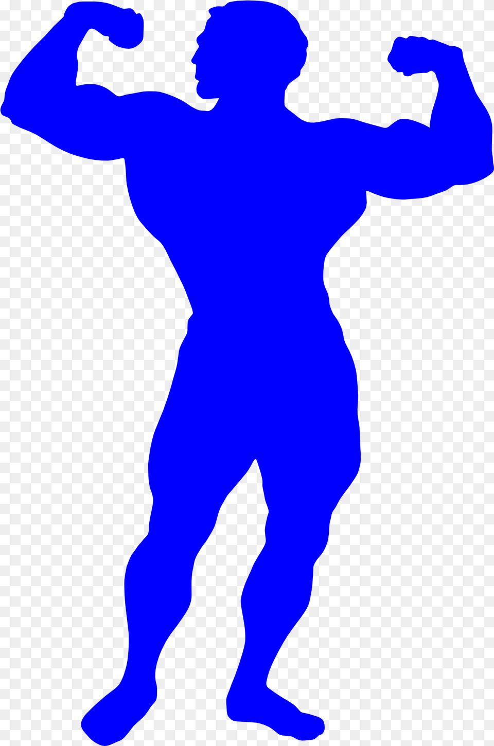 Bodybuilder Man Drawing Muscle Facts For Kids, Adult, Male, Person, Silhouette Free Transparent Png