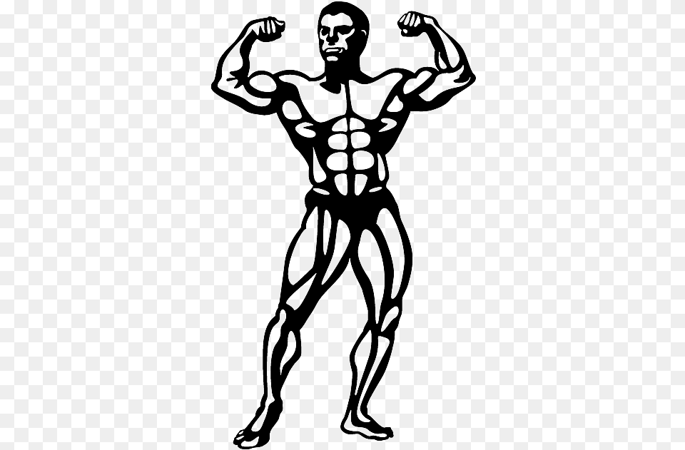 Bodybuilder Muscle Set Muscle Memberships Jimmy Kimmel Bodybuilder Clipart, Adult, Male, Man, Person Png