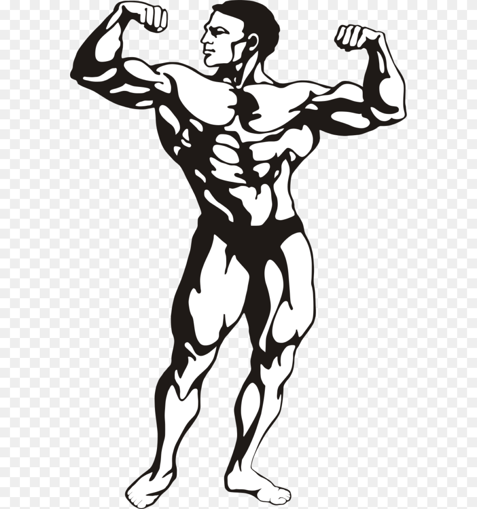 Bodybuilder Vector Drawn Clipart Winging, Stencil, Adult, Male, Man Free Png Download