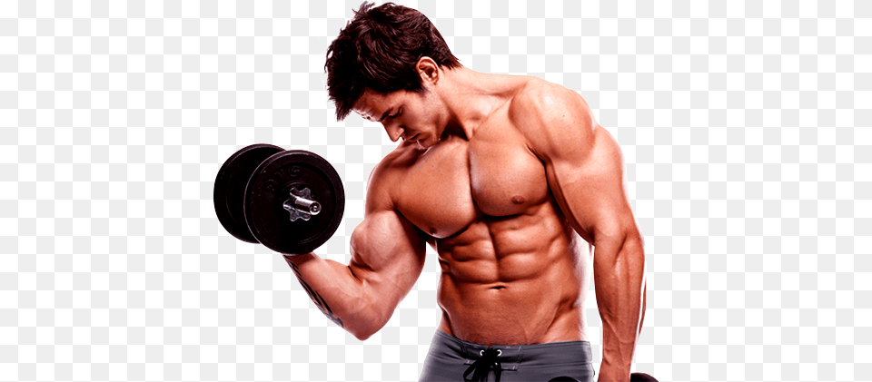 Bodybuilding, Adult, Person, Man, Male Png