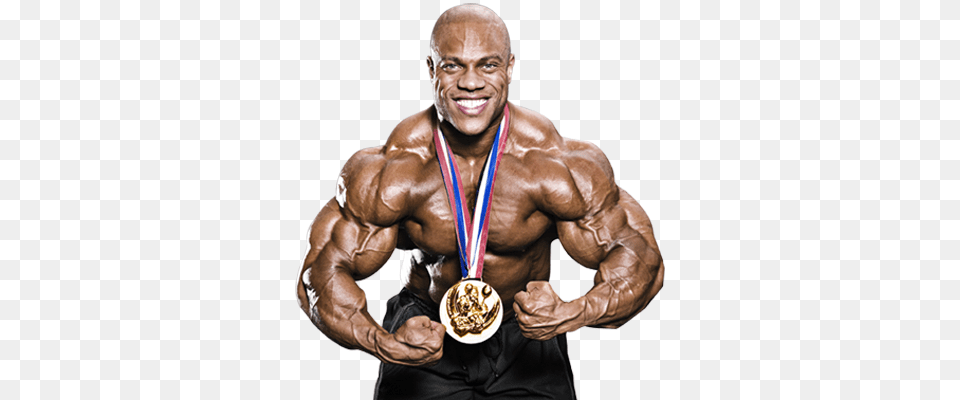 Bodybuilding, Gold, Adult, Male, Man Free Png