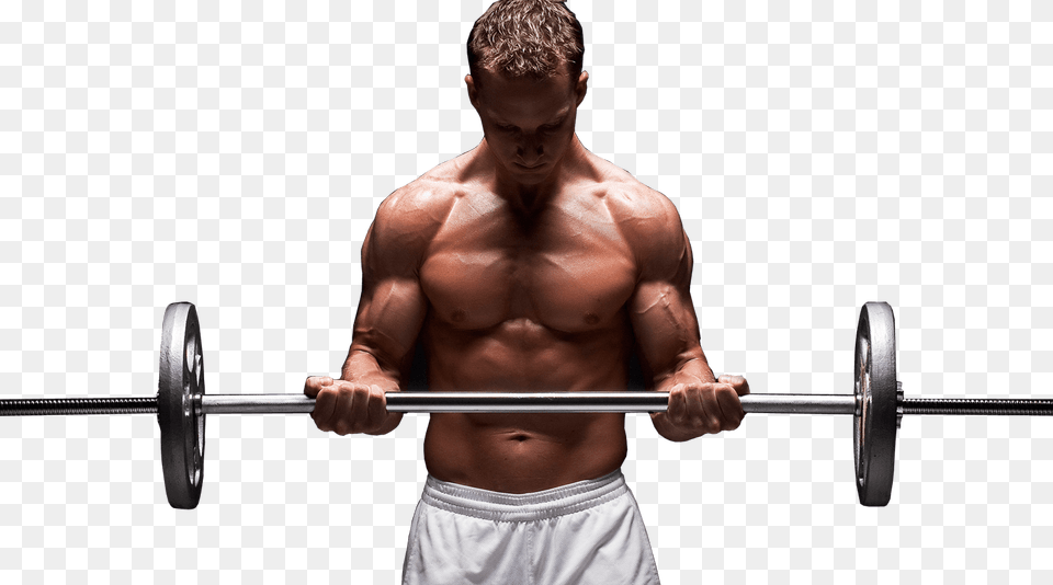 Bodybuilding, Machine, Wheel, Working Out, Adult Png