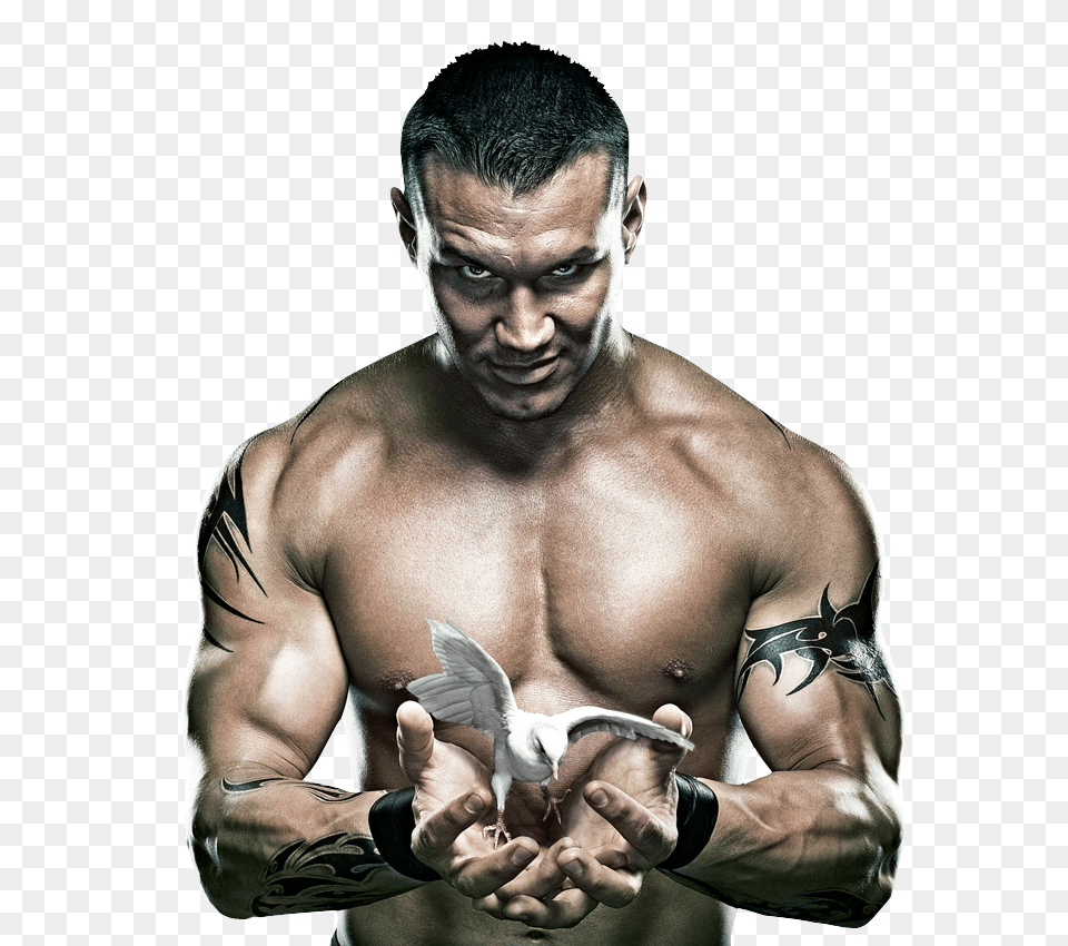 Bodybuilding, Tattoo, Skin, Person, Hand Png