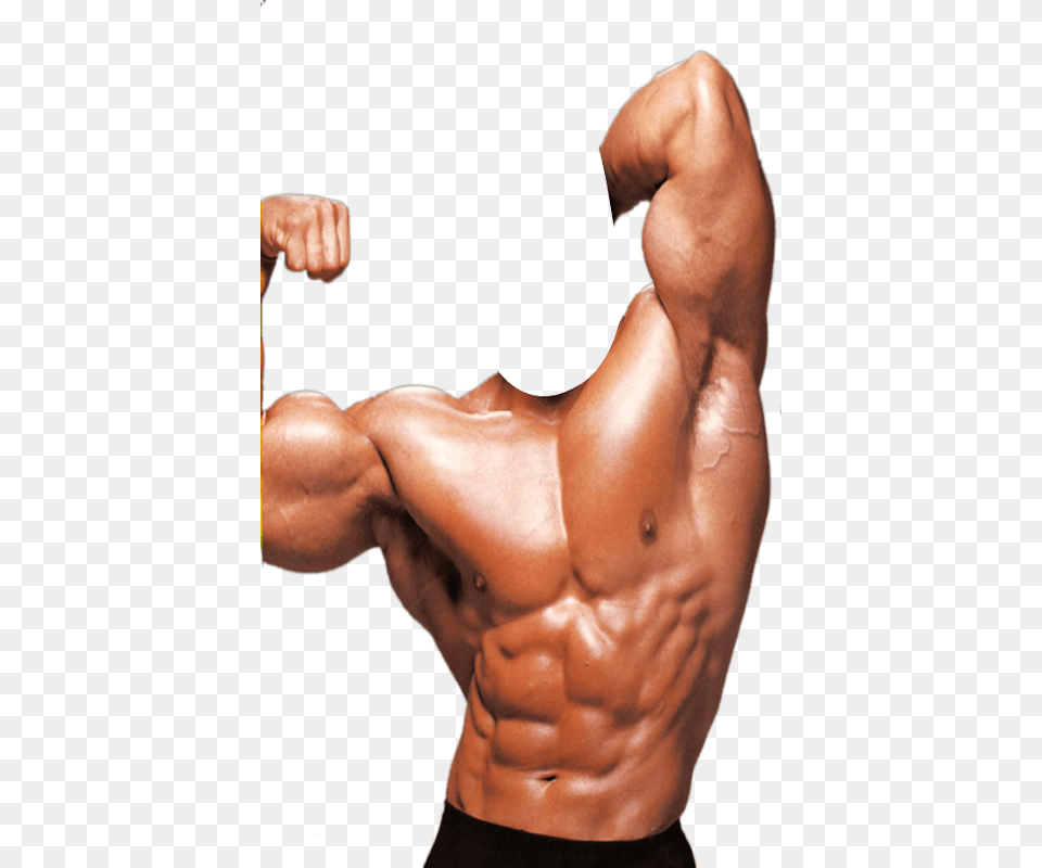 Bodybuilding, Arm, Body Part, Person, Adult Png Image