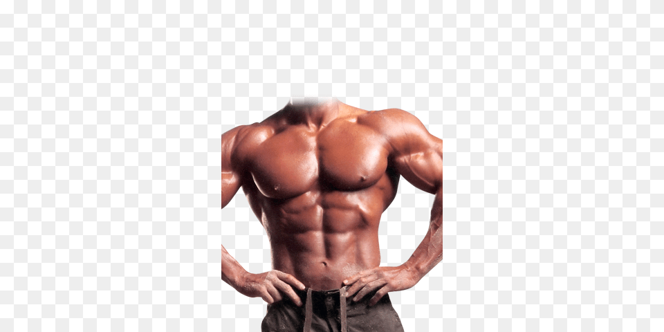 Bodybuilding, Adult, Male, Man, Person Free Png