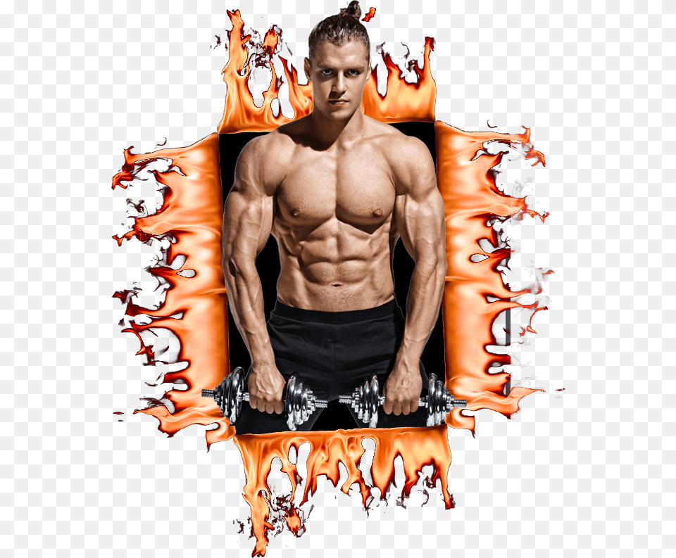 Bodybuilding, Back, Person, Body Part, Adult Free Transparent Png