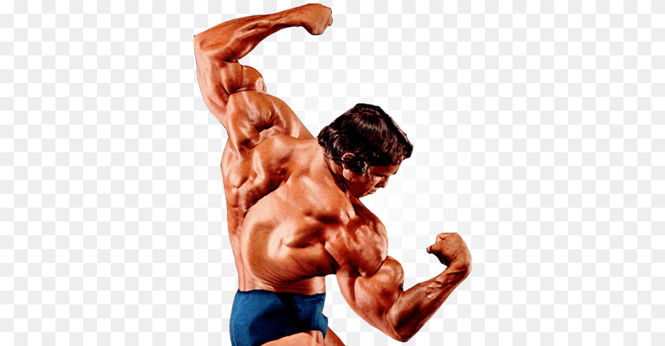 Bodybuilding, Adult, Male, Man, Person Free Png