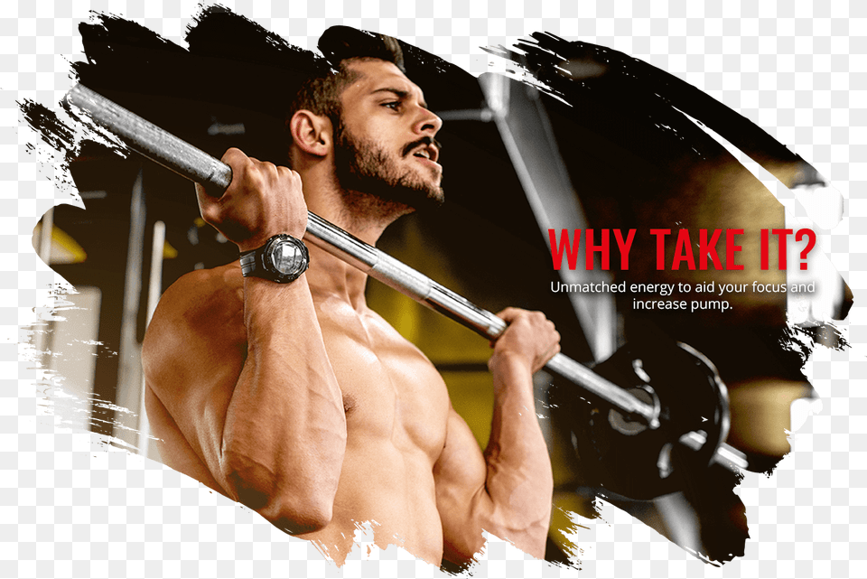 Bodybuilding, Adult, Male, Man, Person Free Transparent Png