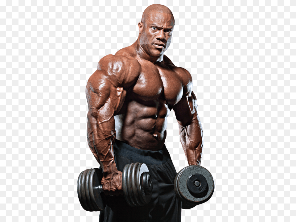 Bodybuilding, Adult, Person, Man, Male Free Png