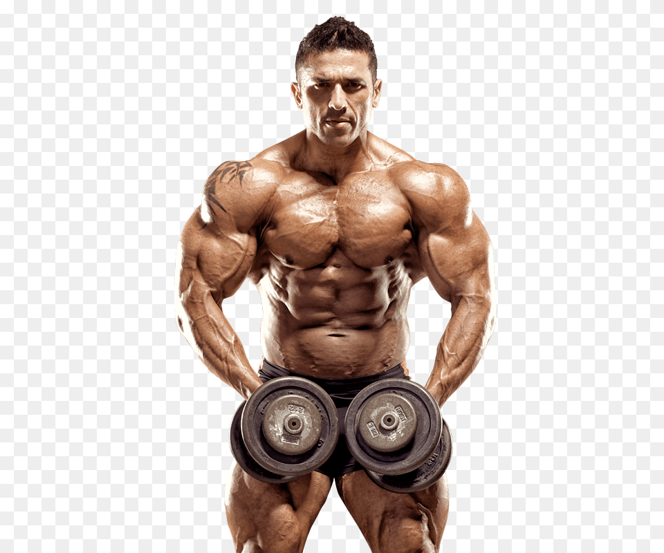 Bodybuilding, Adult, Male, Man, Person Free Png