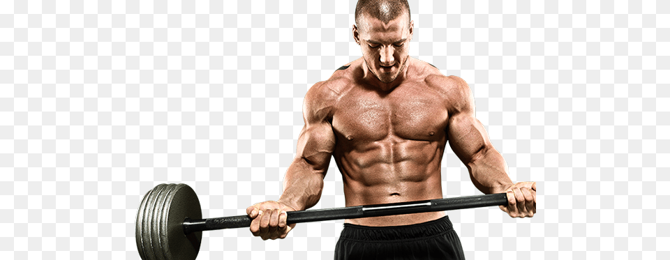 Bodybuilding, Adult, Male, Man, Person Free Transparent Png
