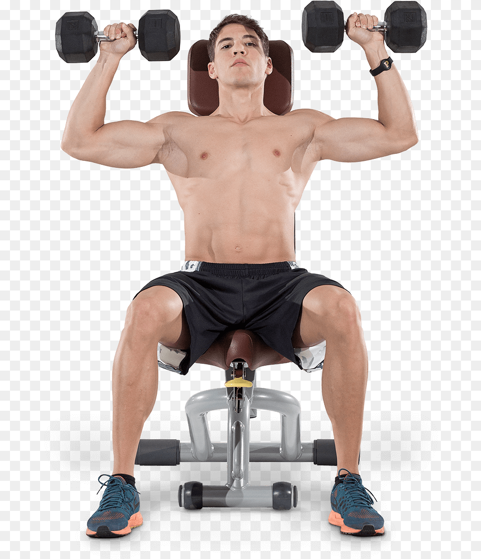 Bodybuilding Biceps Curl, Boy, Teen, Person, Male Free Png Download