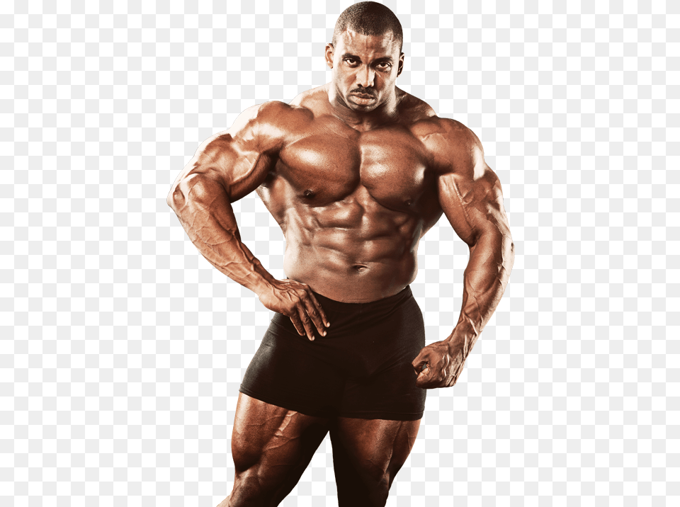 Bodybuilding Body Builder Image, Adult, Male, Man, Person Png
