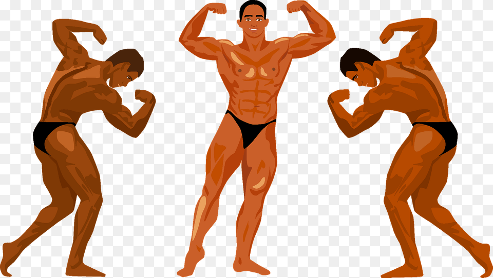 Bodybuilding Competition Clipart, Adult, Male, Man, Person Free Transparent Png
