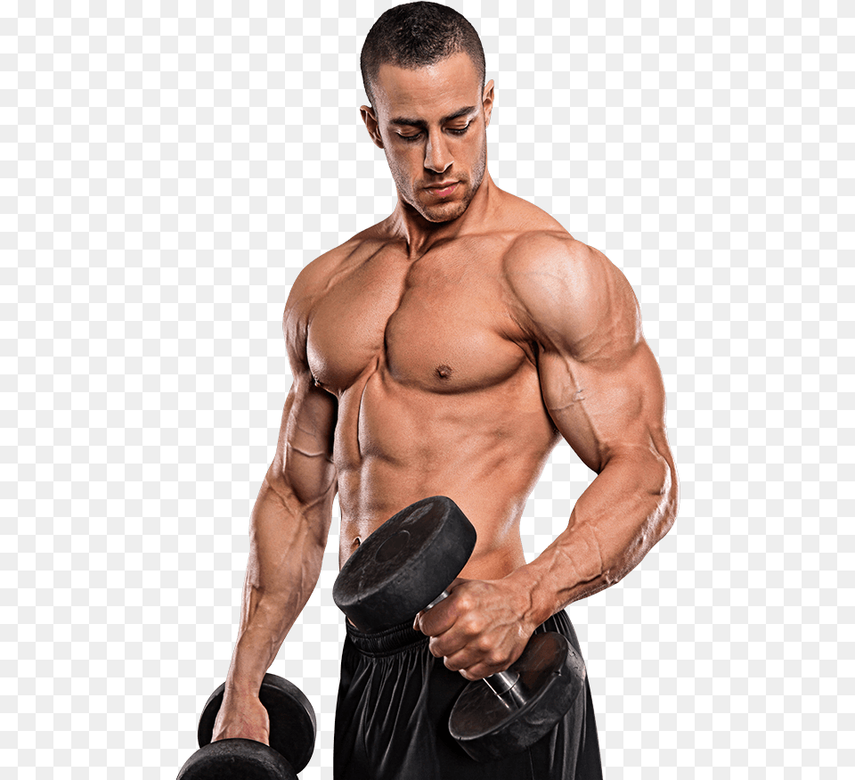 Bodybuilding Gym Model Images, Working Out, Bicep Curls, Fitness, Gym Weights Free Transparent Png