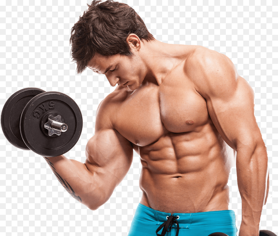 Bodybuilding Image Download Do Muscles Grow, Adult, Person, Man, Male Free Png