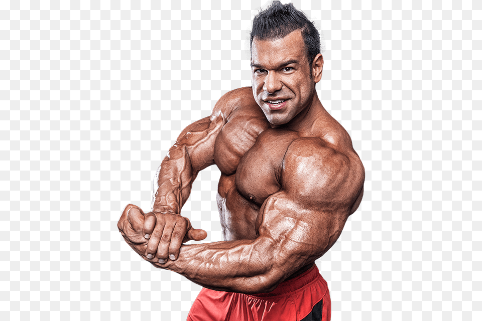 Bodybuilding Images Bodybuilder, Adult, Male, Man, Person Free Png Download