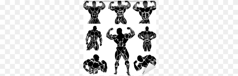 Bodybuilding Powerlifting Vector Set Wall Mural Gym Logo Vector Bodybuilding, Stencil, Adult, Person, Male Free Png