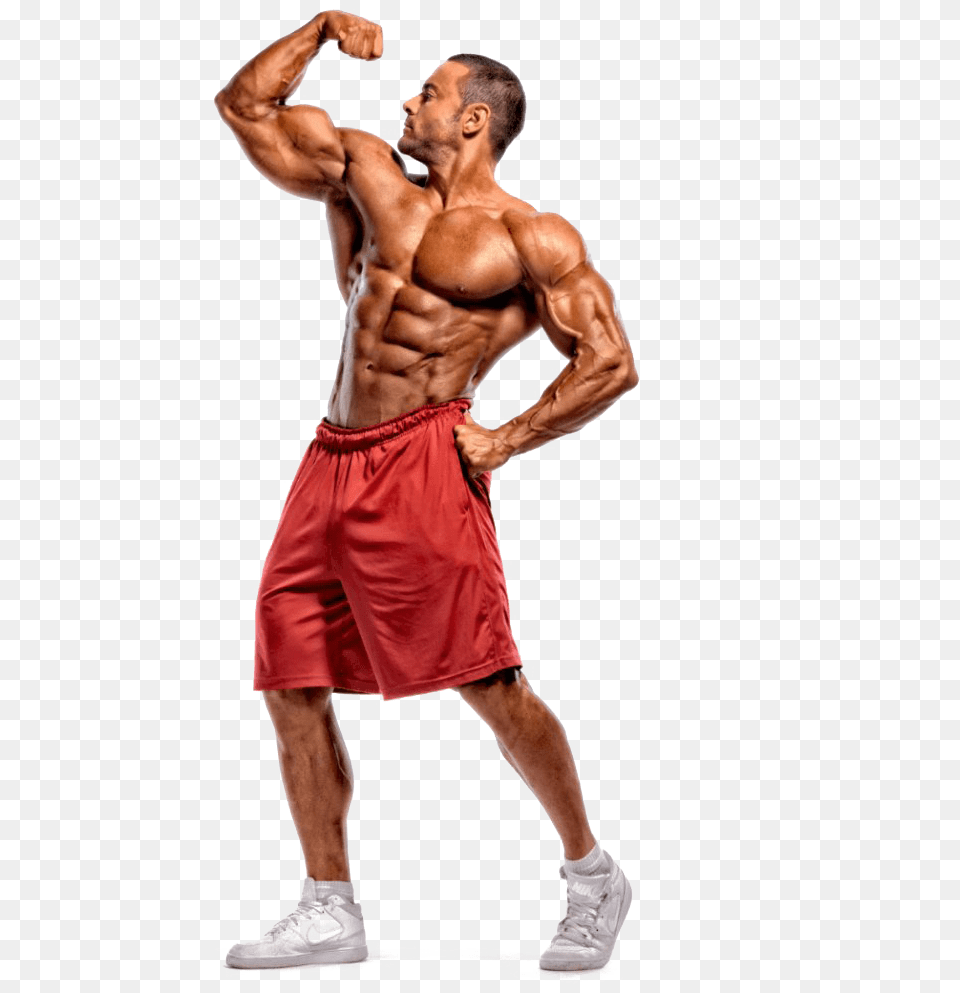 Bodybuilding Transparent Body Builder Stock, Adult, Male, Man, Person Free Png Download