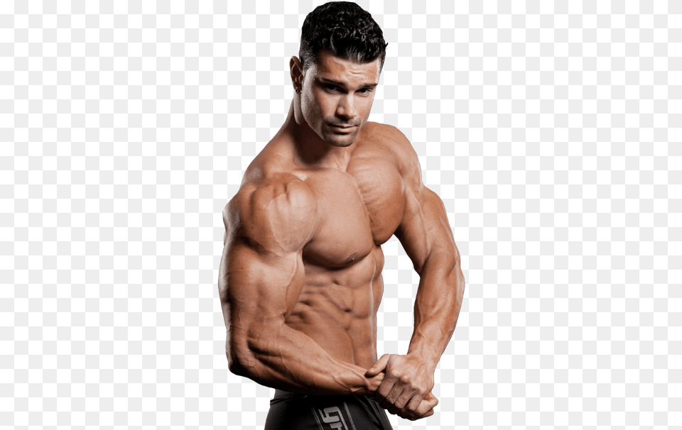 Bodybuilding Wwe Eddie Guerrero, Person, Back, Body Part, Adult Free Png Download