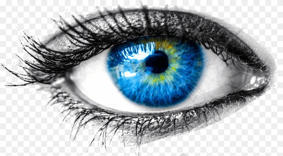 Bodymacro Bluecosmeticscontact Lensstock Photographyeyelash Transparent Eye, Adult, Female, Person, Woman Free Png