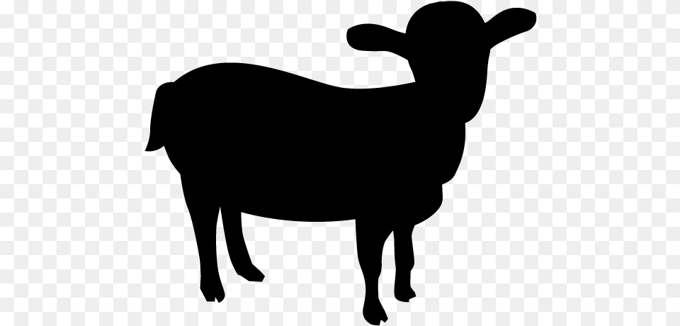 Boer Goat Feral Goat Cattle Mountain Goat Outline Australian Shepherd Silhouette, Gray Free Png Download