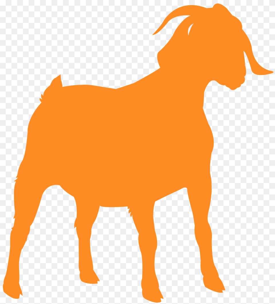Boer Goat Silhouette, Livestock, Animal, Mammal, Cattle Free Png Download