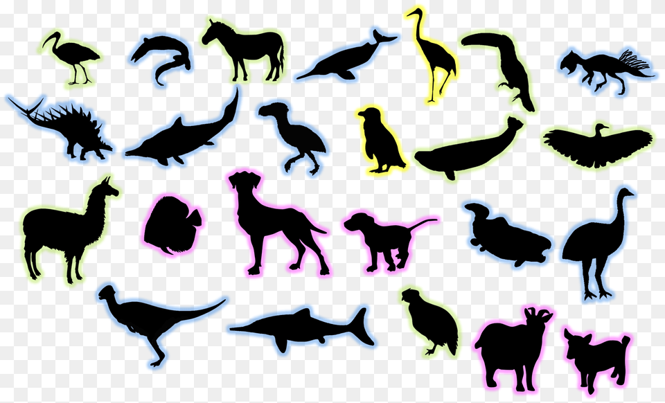 Boer Goat Silhouette Image, Animal, Bird, Canine, Pet Free Transparent Png