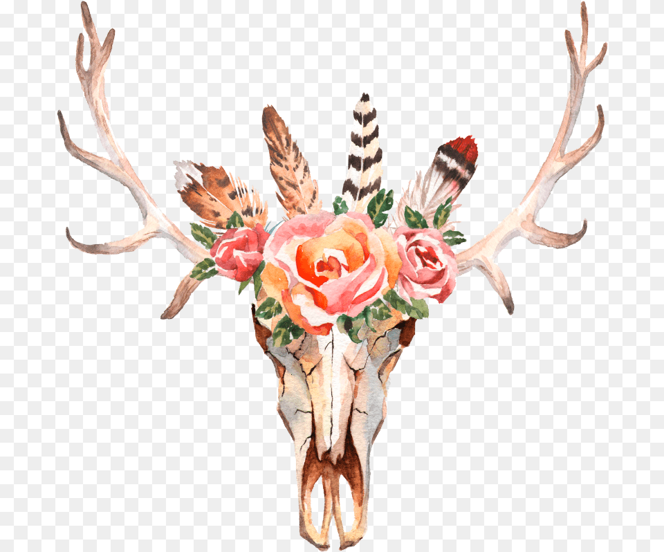 Bohemian Antlers Antlers With Flowers Background, Antler, Flower, Rose, Plant Png