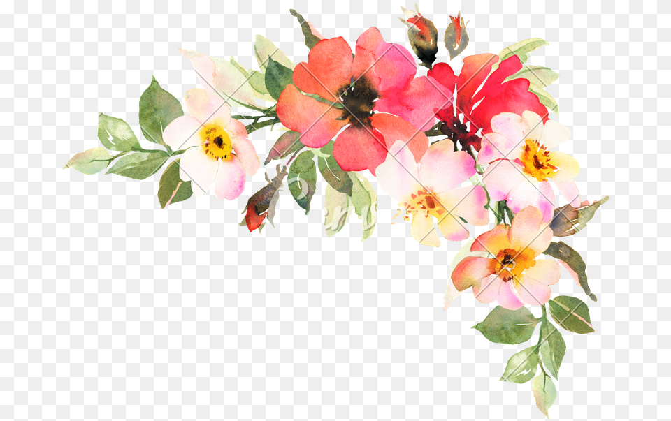Bohemian Flower For Invitation, Plant, Petal, Pattern, Graphics Png