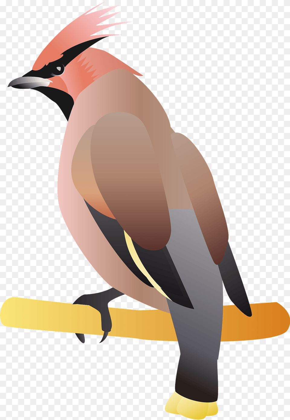 Bohemian Waxwing Bird Clipart, Animal, Finch, Jay, Rocket Free Png Download