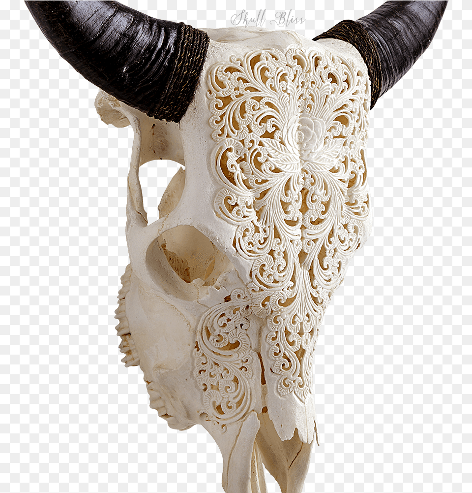 Boho Animal Skull Carved Cow Skull Xl Horns Glowing Mandala, Bull, Mammal, Adult, Bride Png